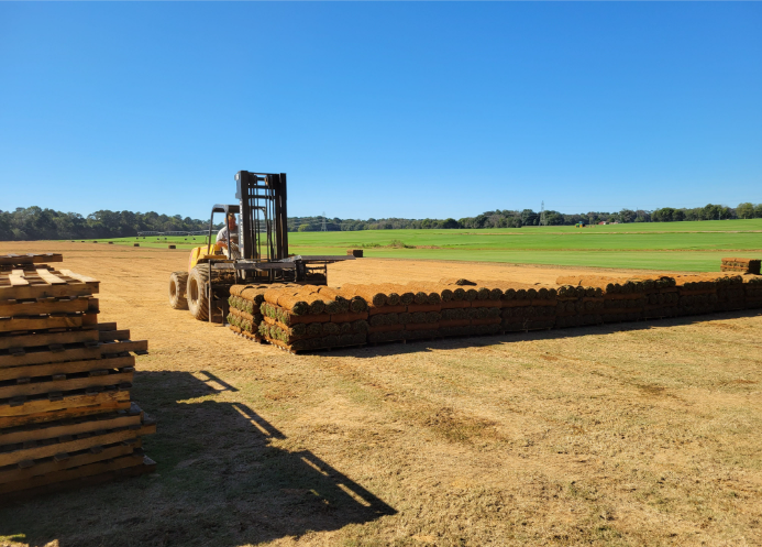 2025-10-16_09-23-56-1