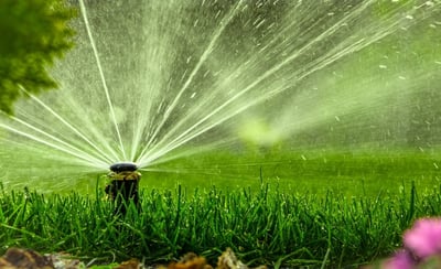 How & When to Water Your Lawn