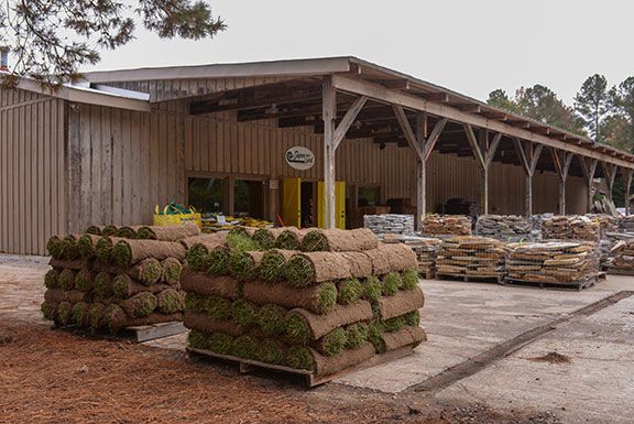 Sod at Cary