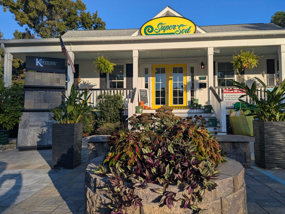 Charleston Store - Front with Plant