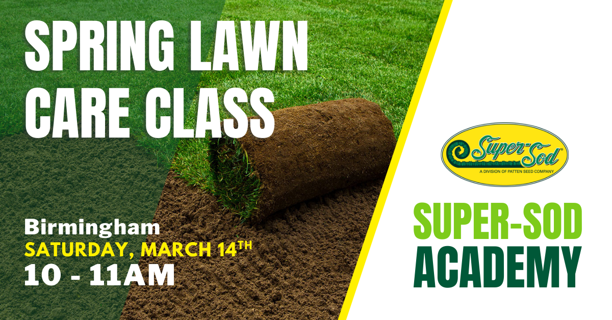 Birmingham class header Spring 2026