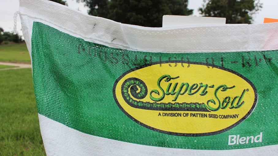 Elite Tall Fescue grass seed bag from Super-Sod