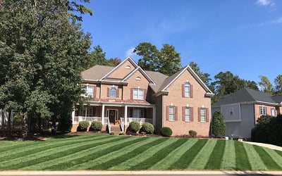 Elite Tall Fescue Lawn Maintenance