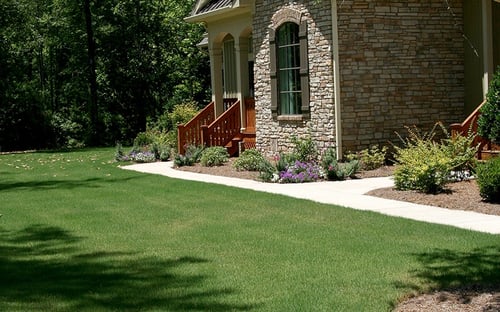 Tifway 419 Bermuda Lawn Maintenance