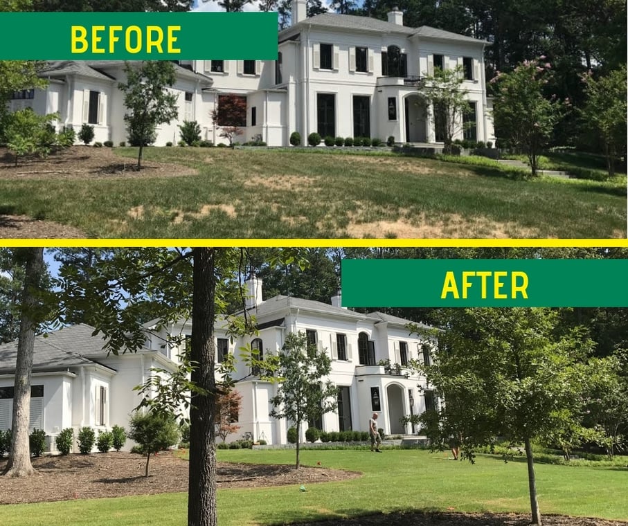 before after Zenith in Raleigh