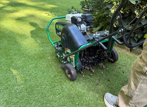 How To Aerate a Lawn: Step-by-Step Instructions to Transform Your Lawn