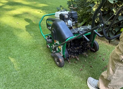 How To Aerate a Lawn: Step-by-Step Instructions to Transform Your Lawn