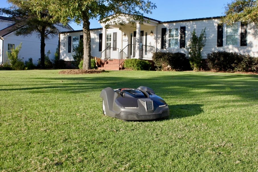 ryegrass overseeded Bermudagrass robotic mower