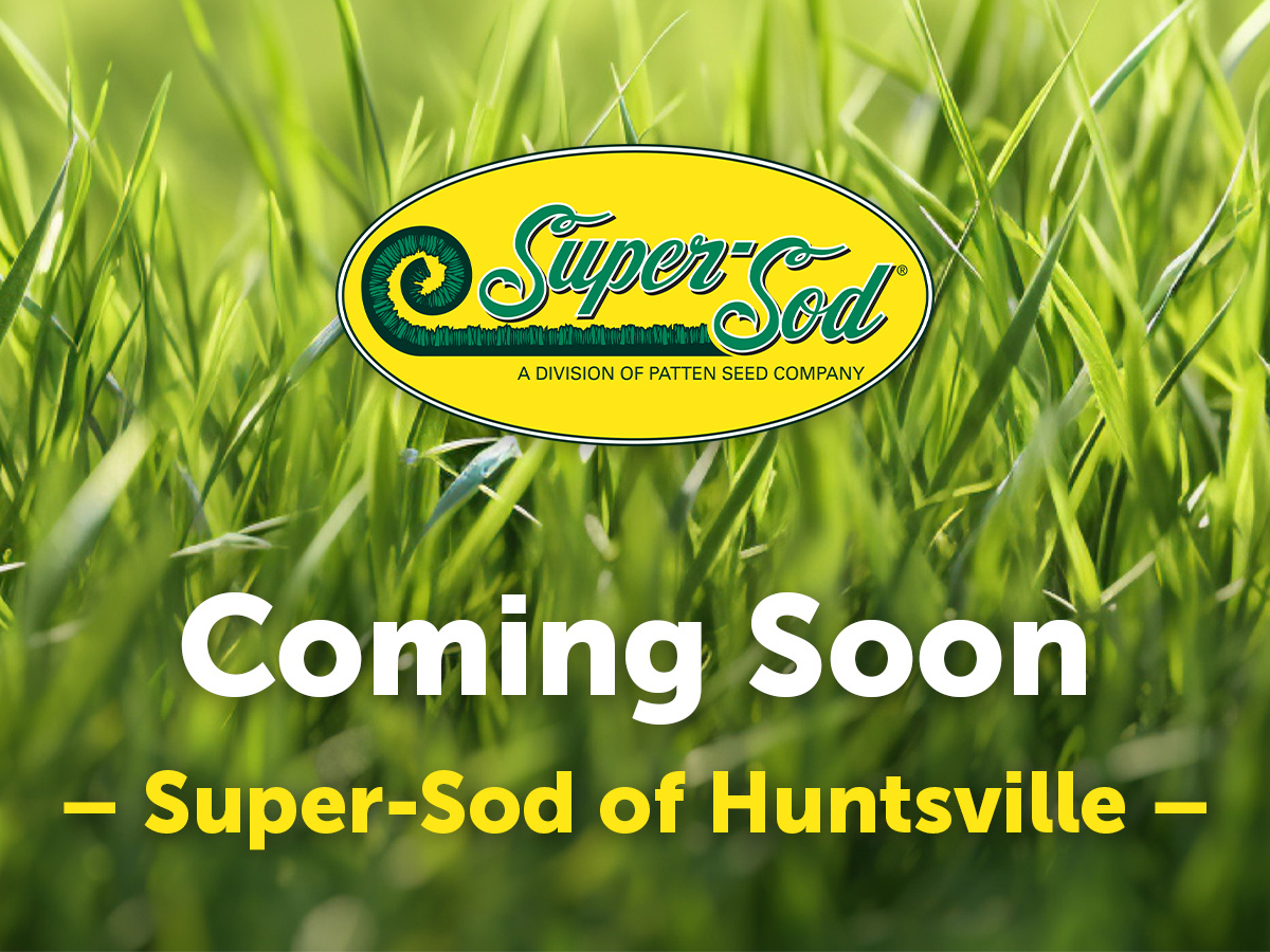 SS_Huntsville_ComingSoon_GooglePage_1200x900px