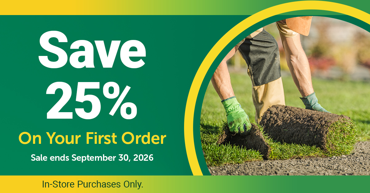 SS_NewStoreOpening_25%Off_Ad_1200x628