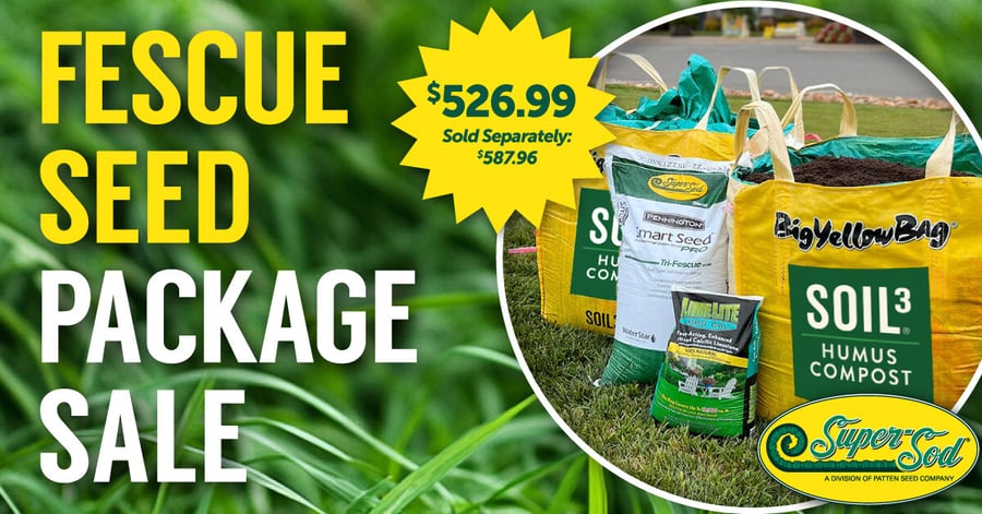Tall Fescue overseeding package 2024