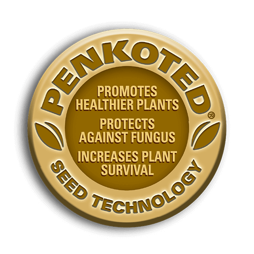 Penkoted Technology for Tall Fescue Seeds