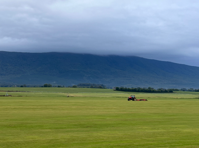 Benton Fescue Field 