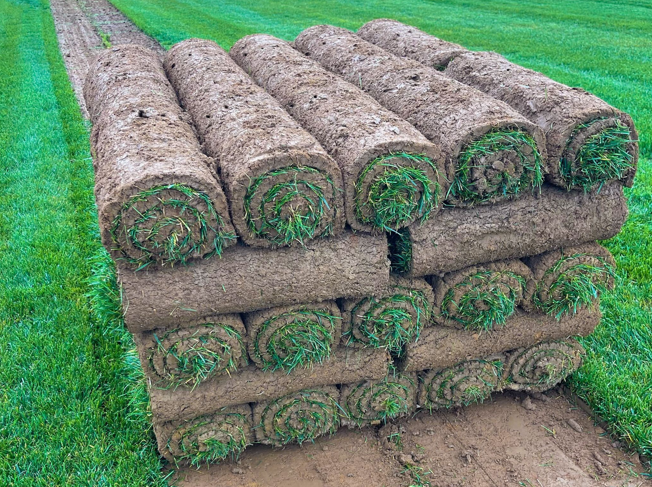 Benton Fescue Pallet 