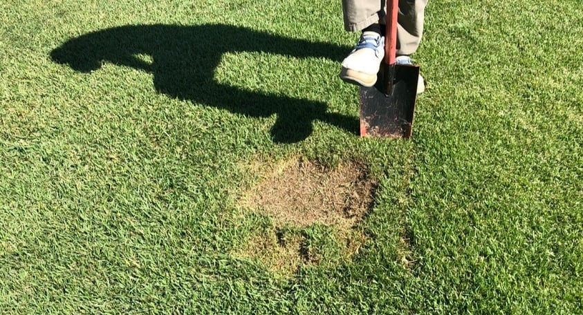 How to Patch a Lawn with Sod dig up bad spot