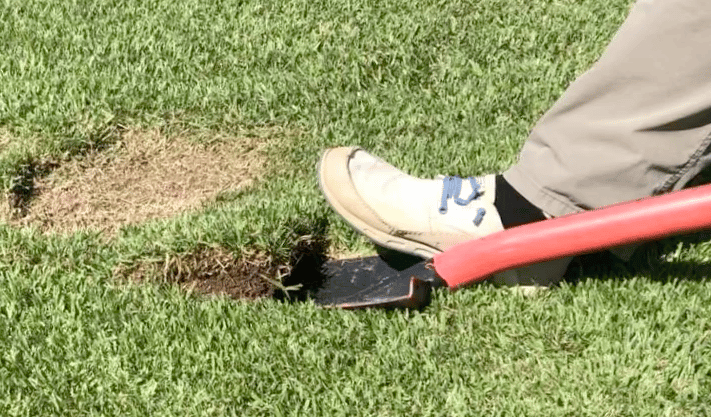 How to Patch a Lawn with Sod dig up old sod