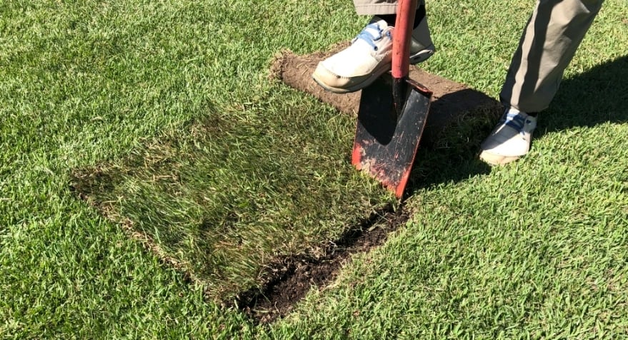 How to patch and repair a lawn-1