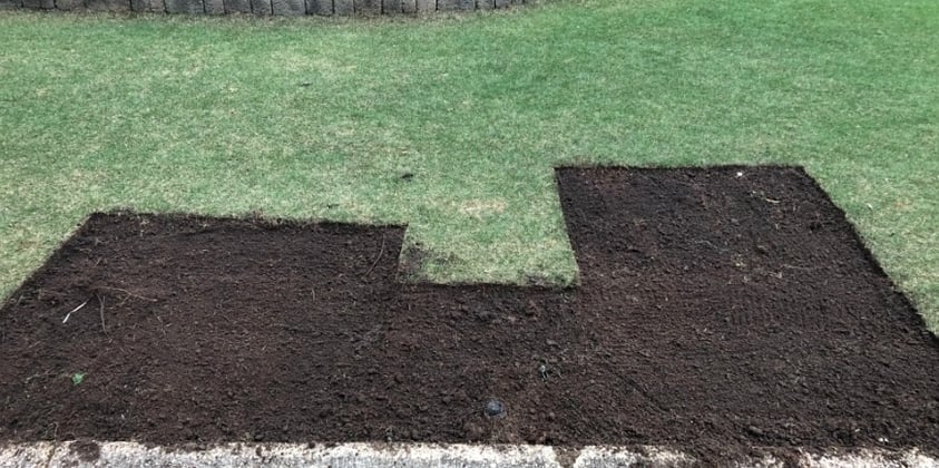 How to patch and repair a lawn-2