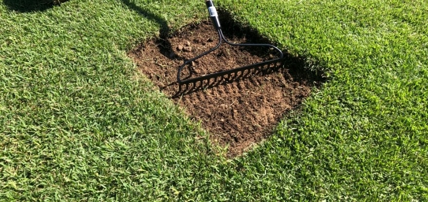 How to patch and repair a lawn-3