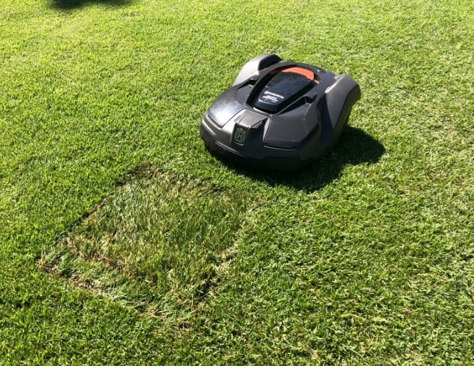 How to patch and repair a lawn-4