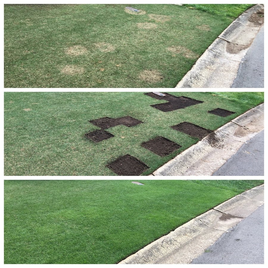 Patching a Lawn with Sod Rolls Pieces-1