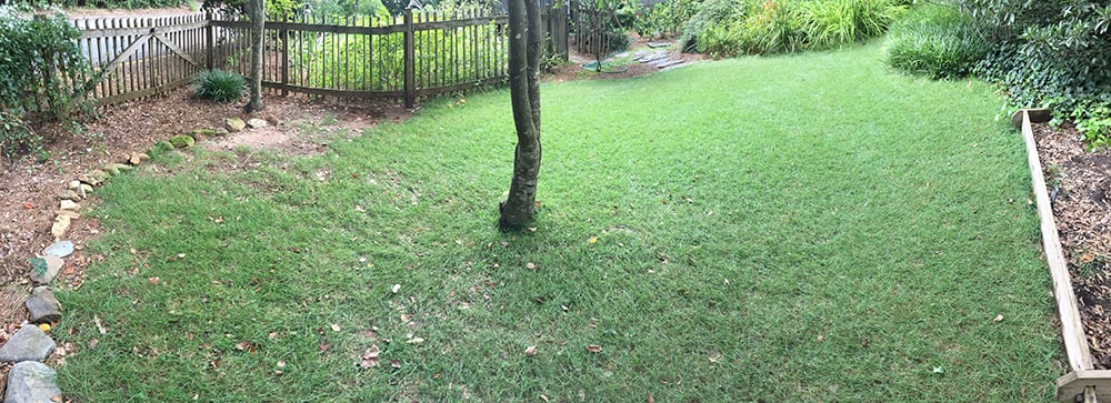 Super-Sod Zeon Zoysia grass for shade