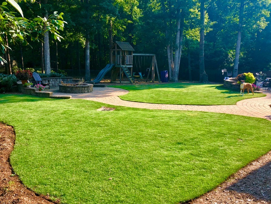 Zoysia in shade and sun for shady lawn grass