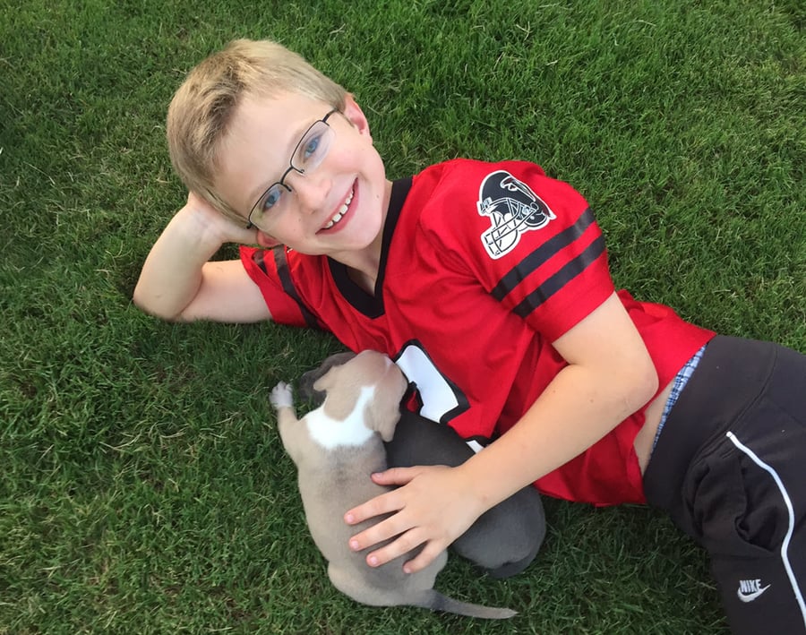 Boy playing with puppies on the grass