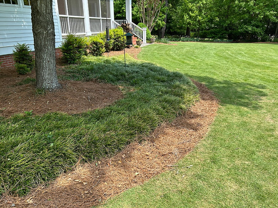 pinestraw-as-pine-border-edging