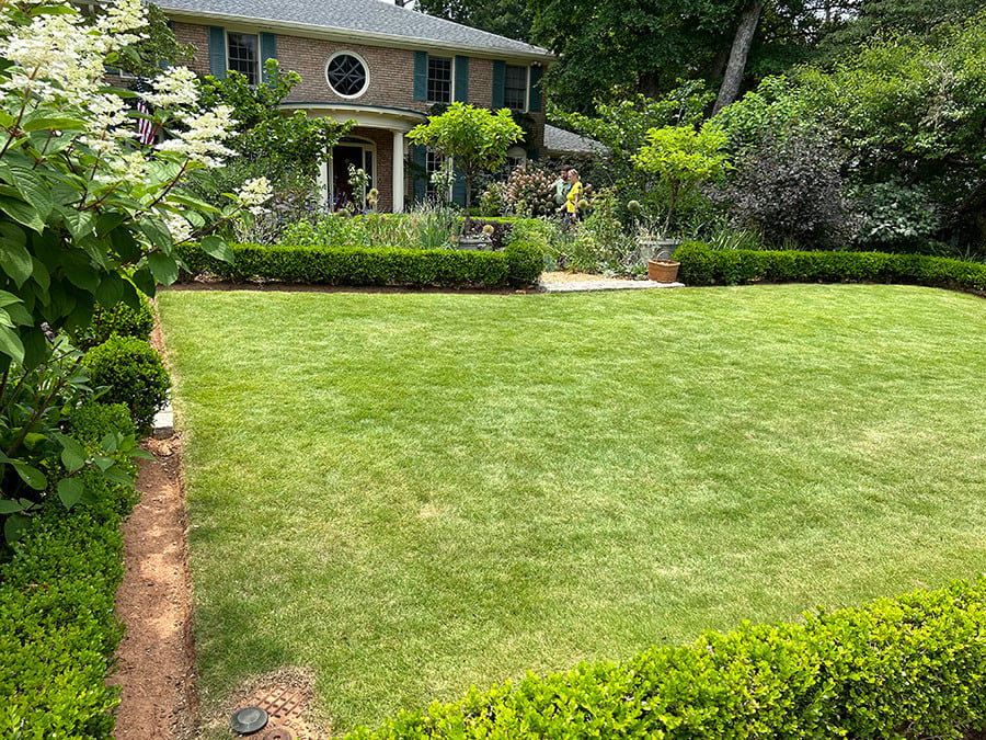 trench-and-boxwood-as-lawn-border-edging