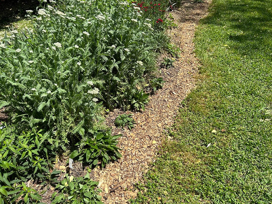 wood-chips-as-lawn-border-edging