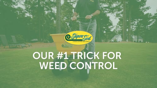 Pre-emergent Herbicide is our #1 Trick for Weed Control