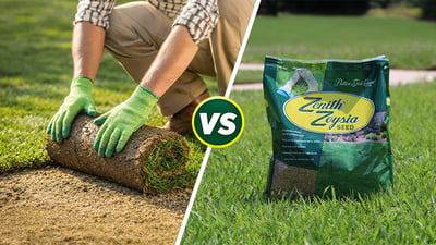 Sod vs Seed: Choosing the Best Option for Southern Lawns