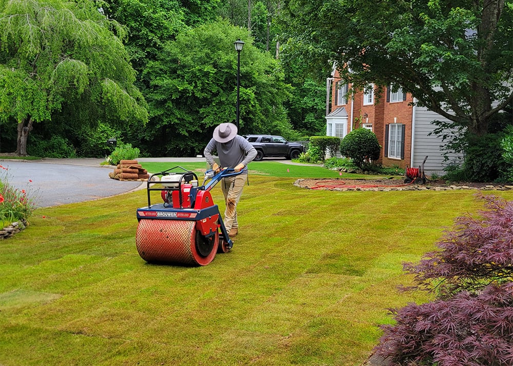 How to Lay Sod Rolling Sod