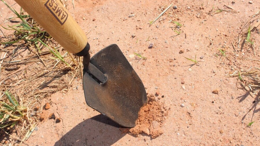 Southeastern clay soil prone to acidic pH