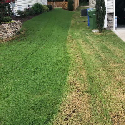 A Clear Difference - Robotic Lawn Mower vs. Traditional Lawn Mower