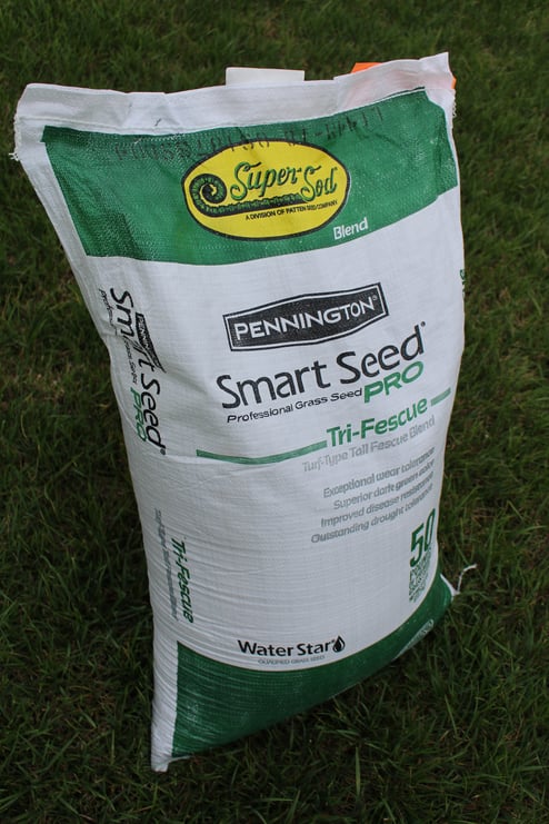 Elite Tall Fescue seed supersod tri-blend bag