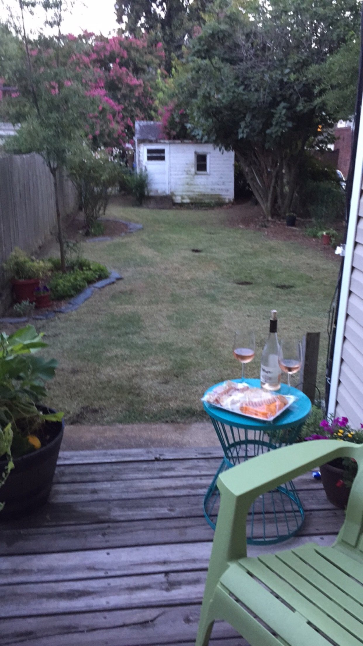 Enjoying the Results after restoring the overgrown lawn.jpg