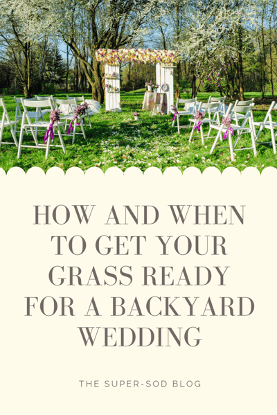 HOW AND WHEN TO GET YOUR GRASS READY FOR A BACKYARD WEDDING -  final