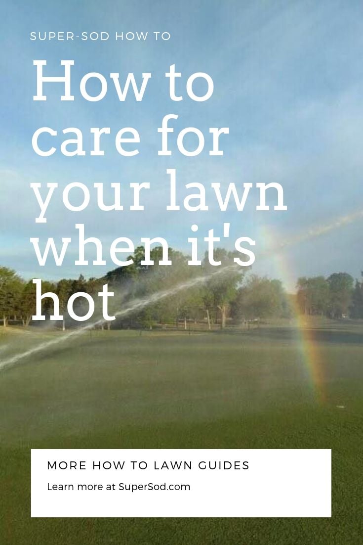 Lawn Care Tips for Hot Weather | Lawn Watering