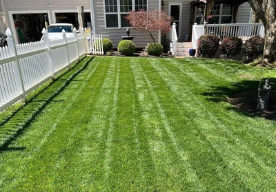 April Tall Fescue Lawn Tips for 2023