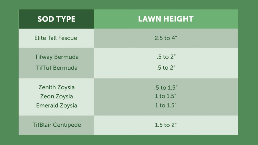 Lawn Height for Mowing Each Type of Grass