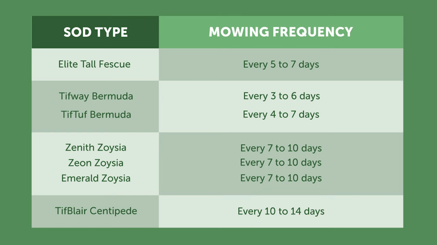 Mowing Frequency for Each Type of Grass