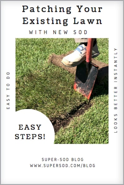 Patching Your Existing Lawn With New Sod