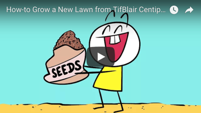 Key Steps to Remember When Seeding a Lawn [Video]
