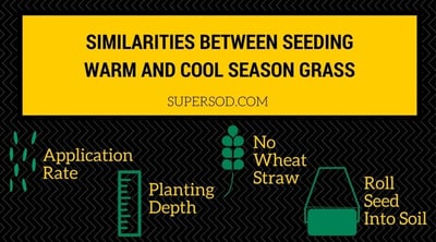 4 Similarities Between Seeding Warm-Season Grass and Cool-Season Grass