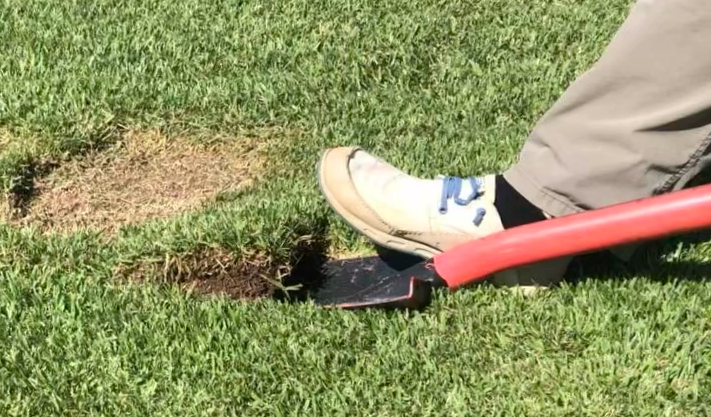 Step two remove sod