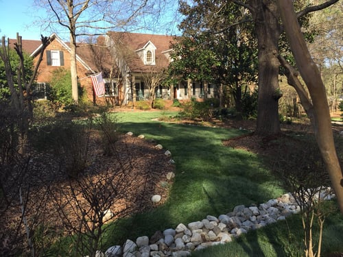 March Tall Fescue Lawn Tips for 2024