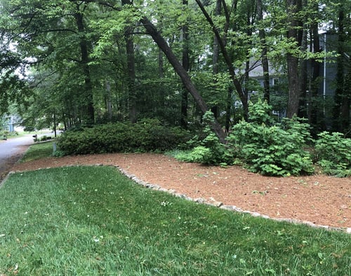 How to Lay Sod Around Trees