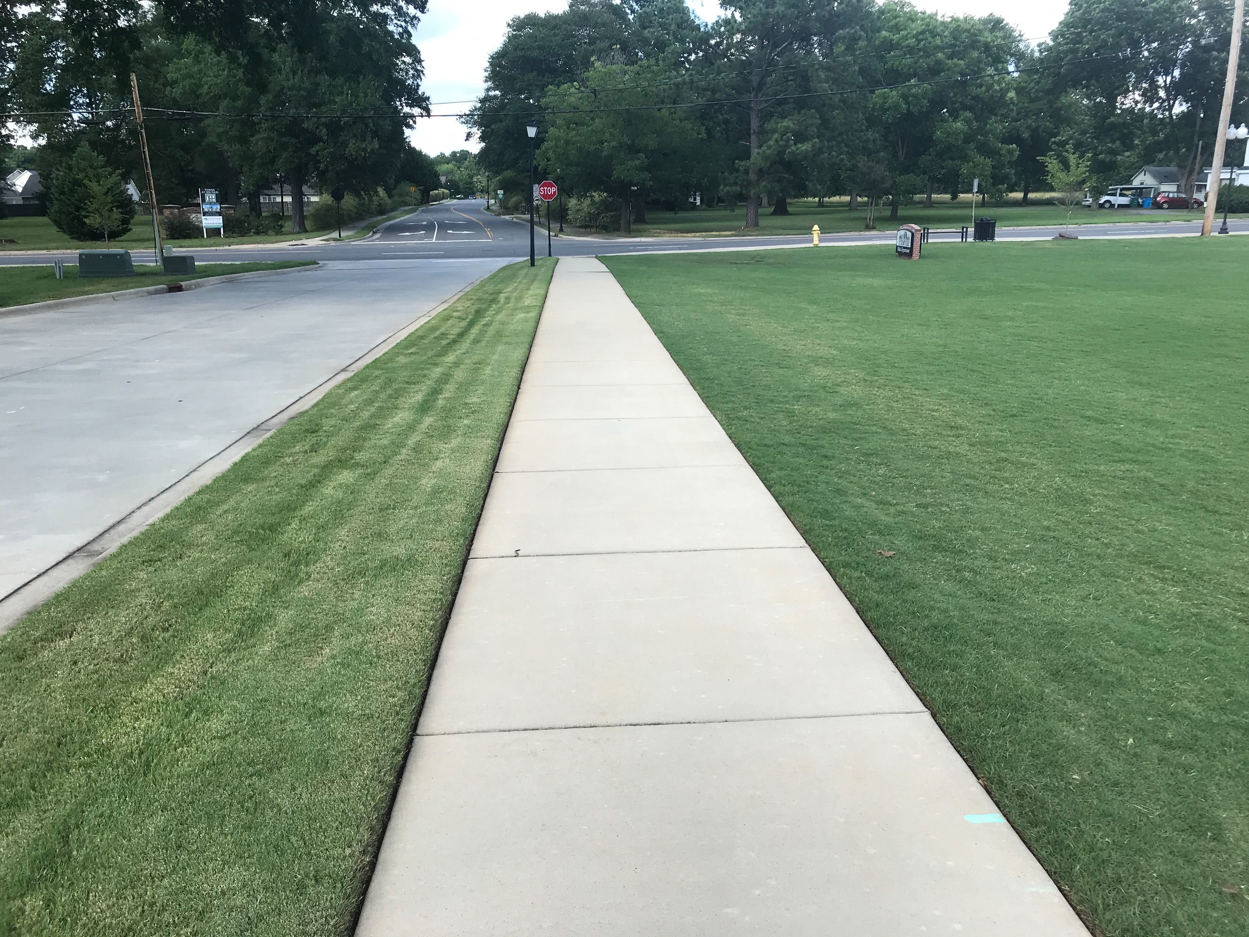 beauty strip mowed by traditional mower compared with lawn maintained by Automower